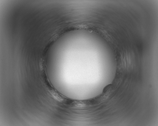 X0000070250658200606021000