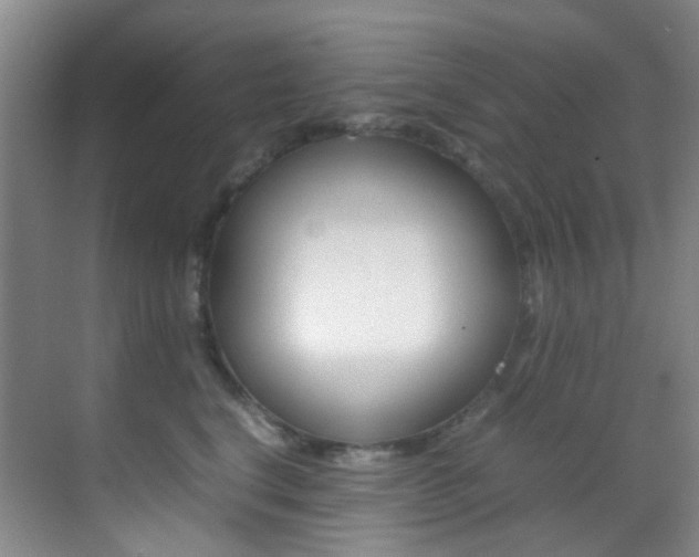 X0000070250664200606021000