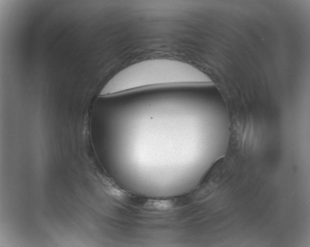X0000070250665200606021000
