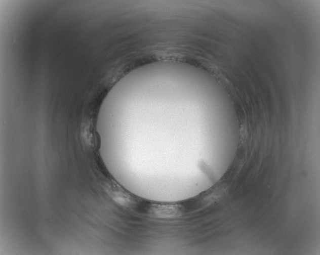 X0000070250671200606021000