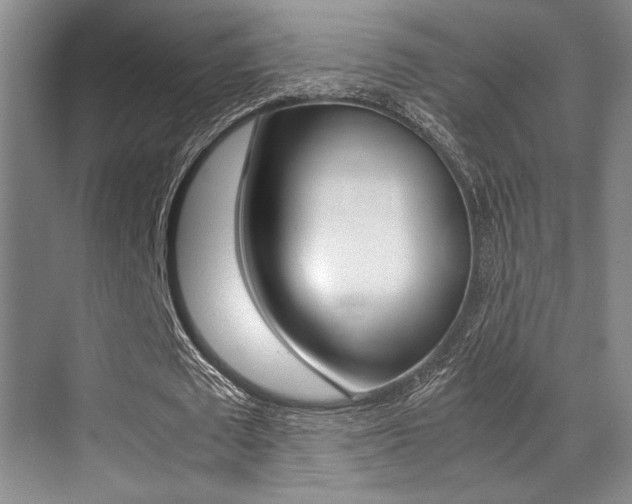 X0000070250673200606020959