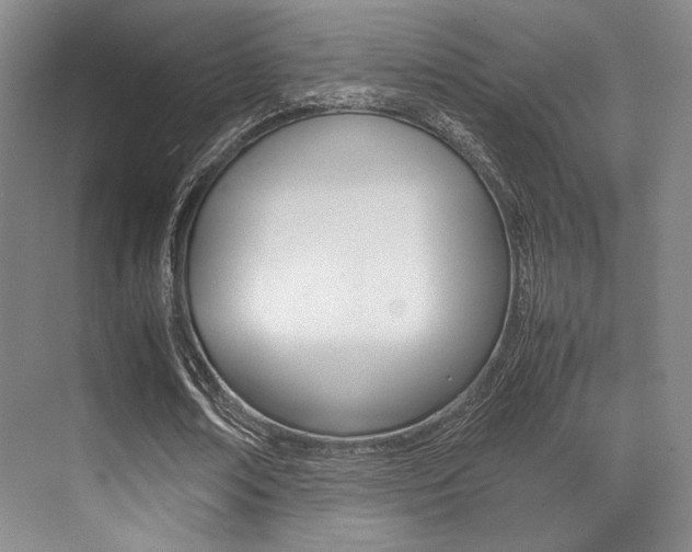 X0000070250674200606020959