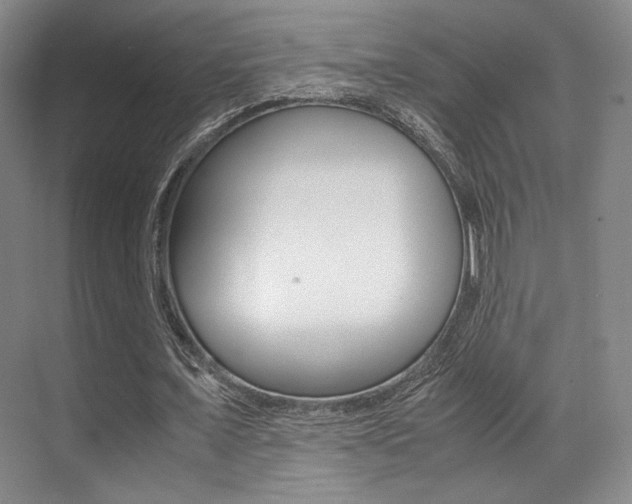 X0000070250675200606020959