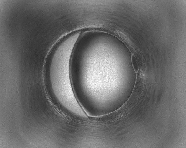 X0000070250676200606020959