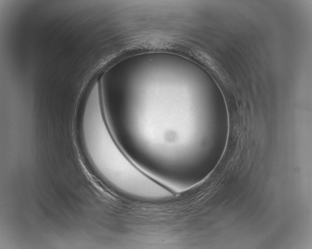 X0000070250677200606020959