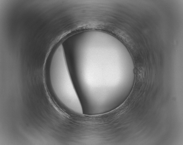 X0000070250678200606020959
