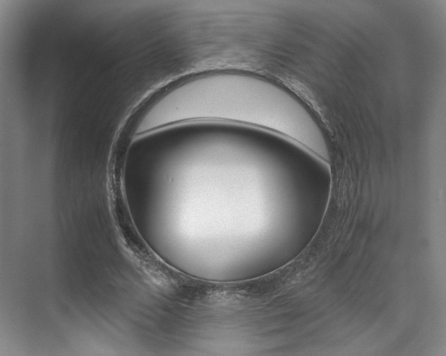 X0000070250680200606020959