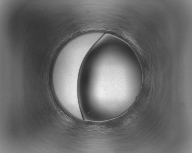 X0000070250681200606020959