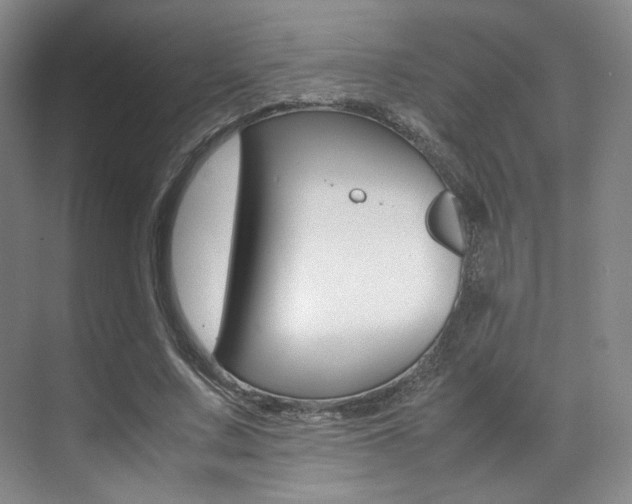 X0000070250683200606020959