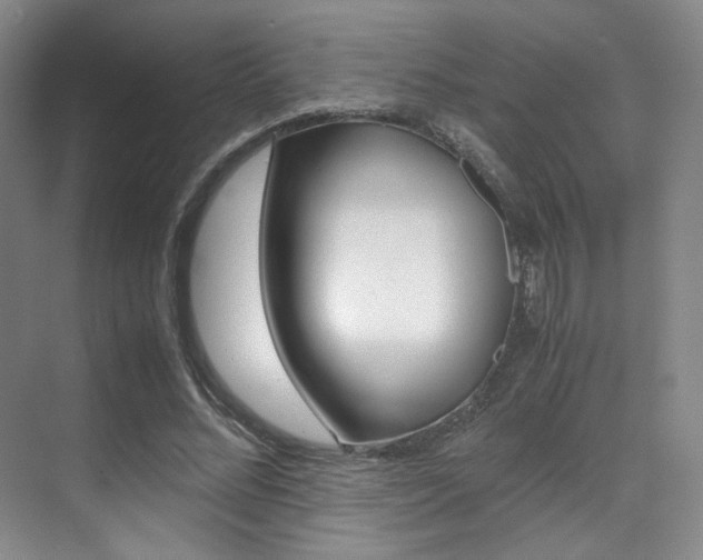 X0000070250684200606020959