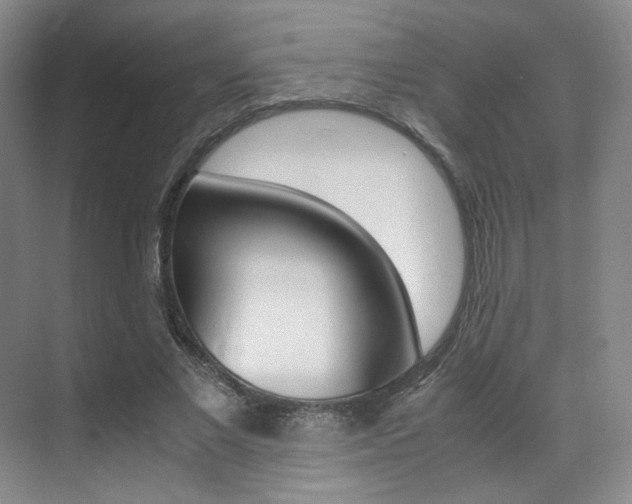 X0000070250685200606020959