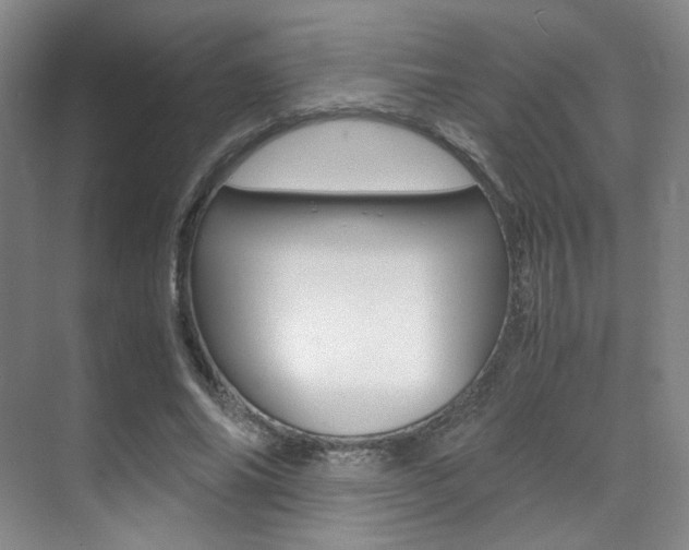 X0000070250686200606020959