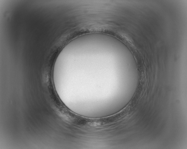X0000070250687200606020959