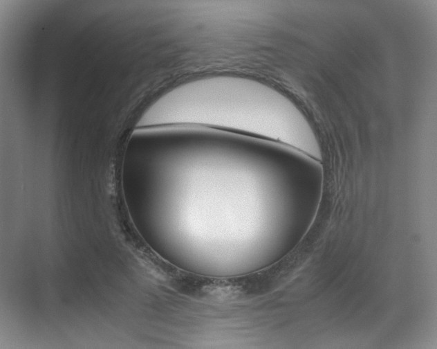 X0000070250689200606020959