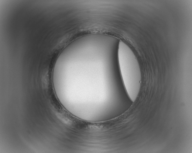 X0000070250690200606020959