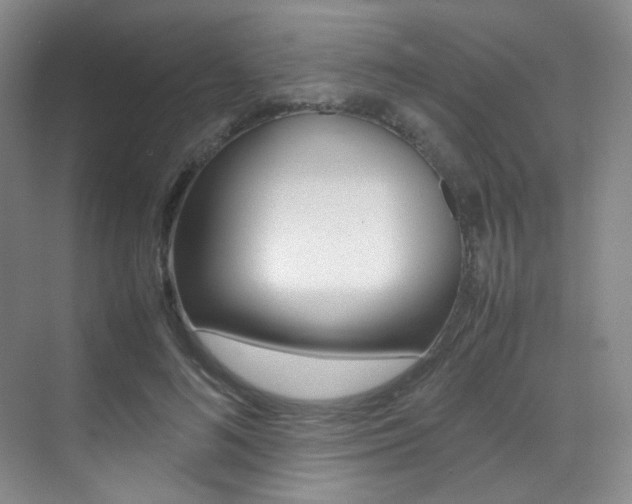 X0000070250692200606020959