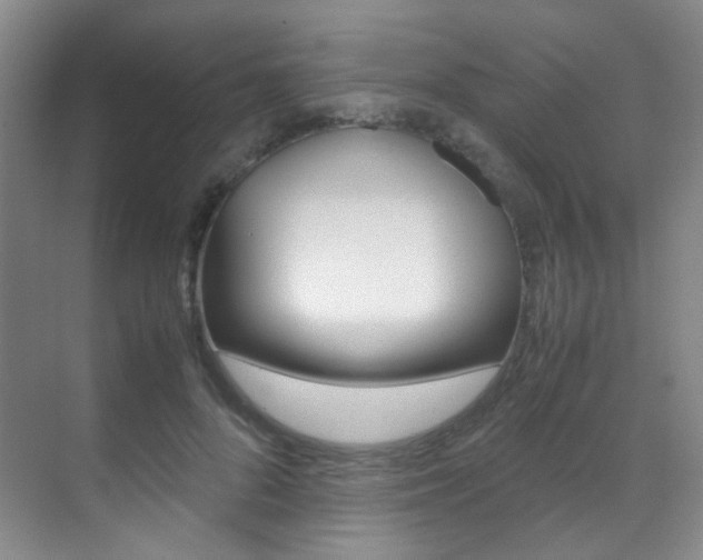 X0000070250696200606020959