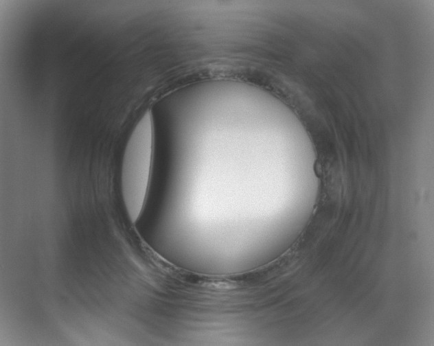 X0000070250698200606020959