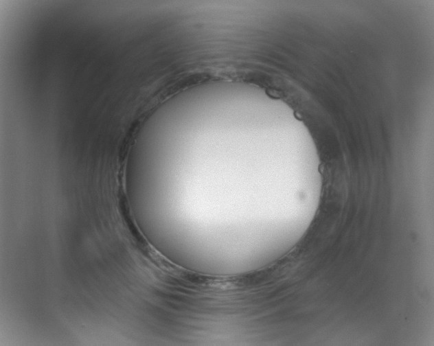 X0000070250702200606020959