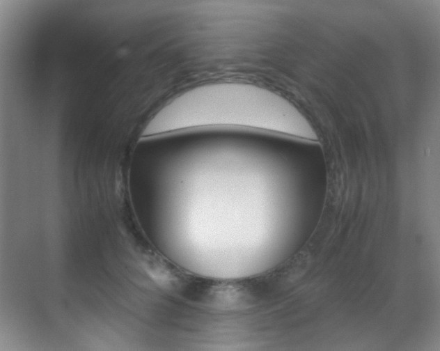 X0000070250704200606020959