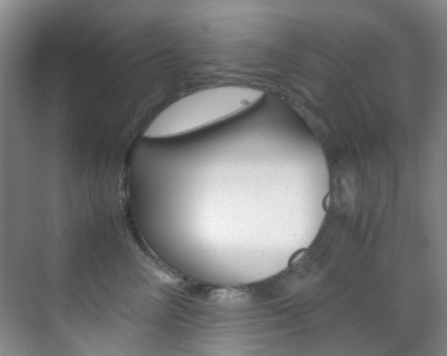 X0000070250714200606020959