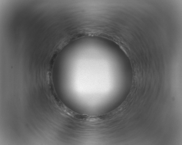 X0000070250716200606020958