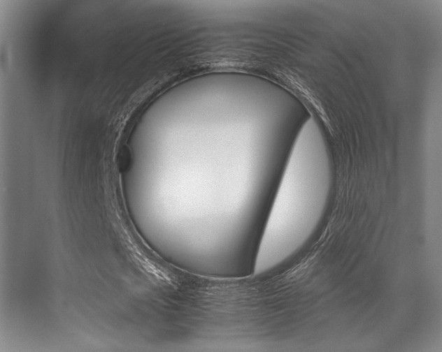 X0000070250721200606020958