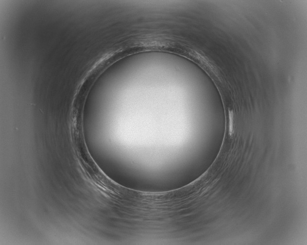 X0000070250723200606020958