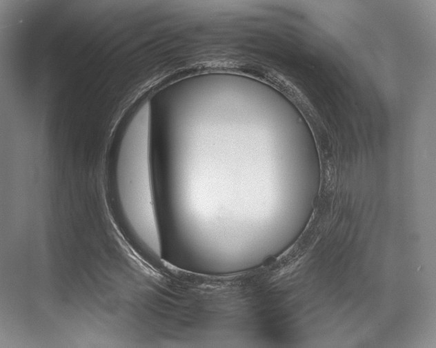 X0000070250725200606020958