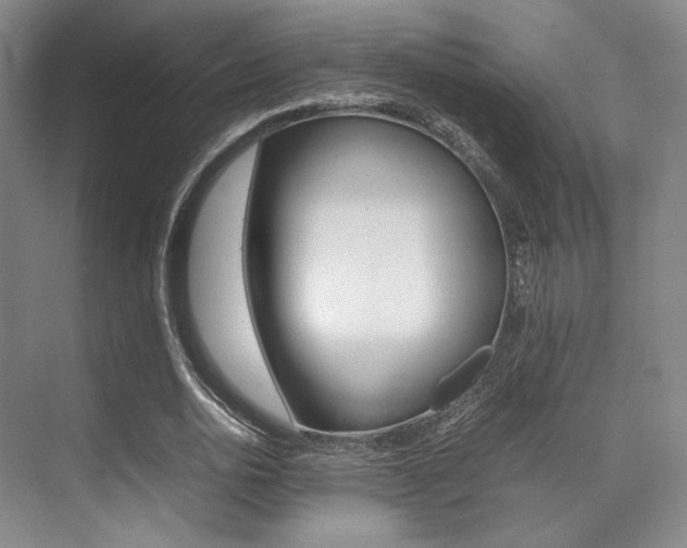 X0000070250726200606020958