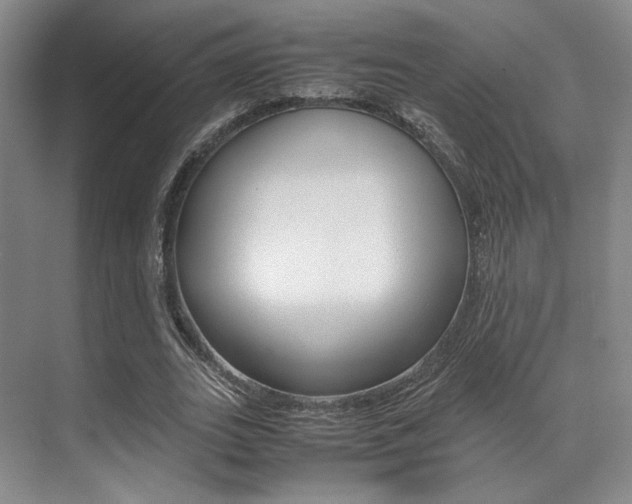 X0000070250727200606020958
