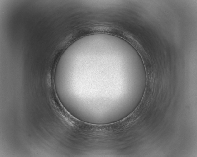 X0000070250729200606020958