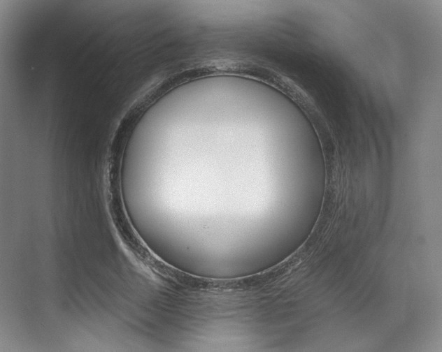 X0000070250730200606020958