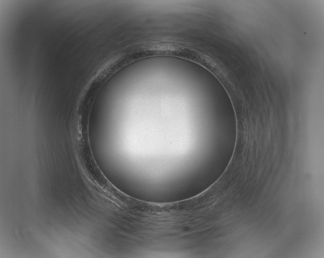 X0000070250731200606020958
