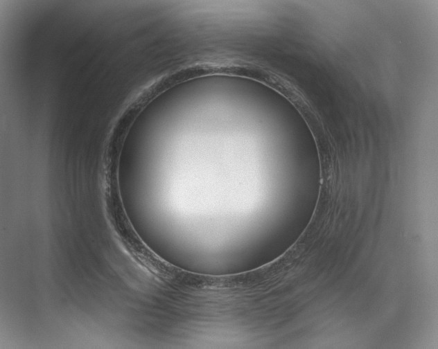 X0000070250732200606020958