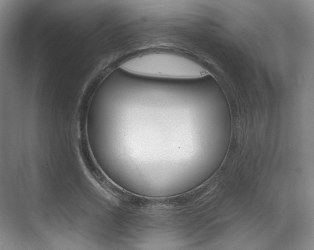 X0000070250734200606020958