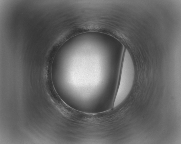 X0000070250735200606020958