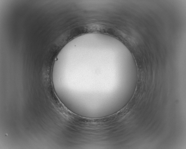 X0000070250737200606020958