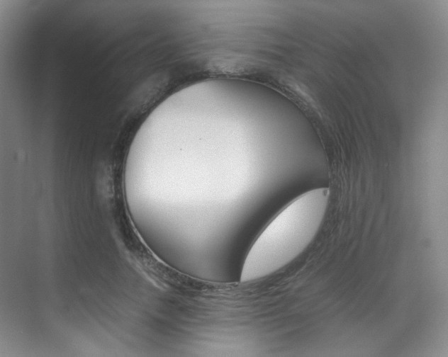 X0000070250738200606020958