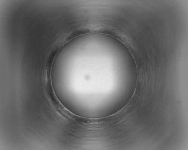 X0000070250740200606020958