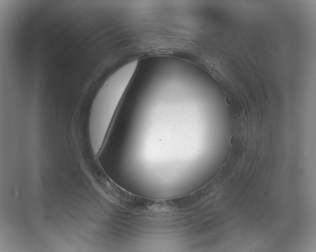 X0000070250742200606020958