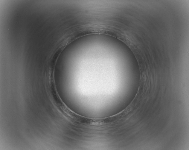 X0000070250744200606020958