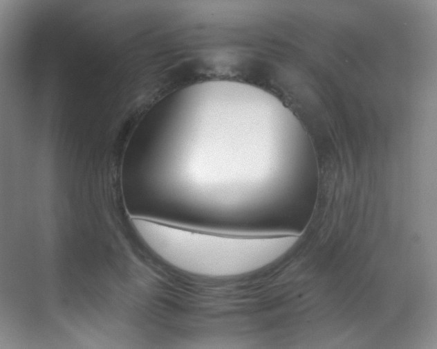 X0000070250747200606020958