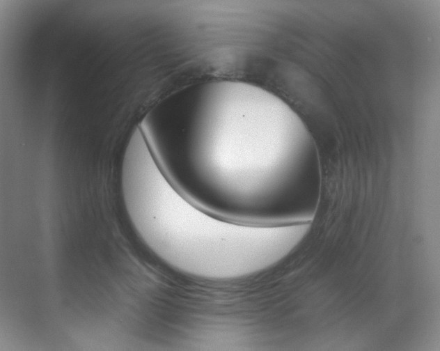 X0000070250748200606020958