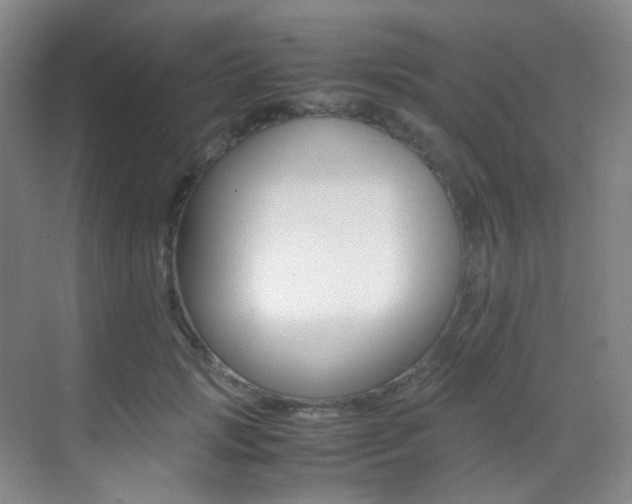 X0000070250749200606020958