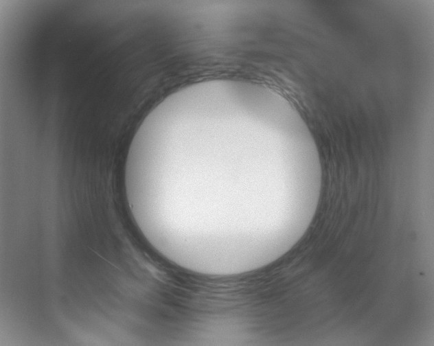 X0000070250750200606020958