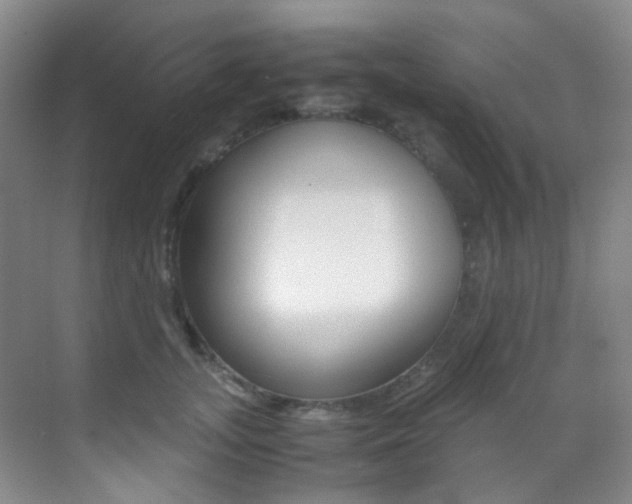 X0000070250755200606020958