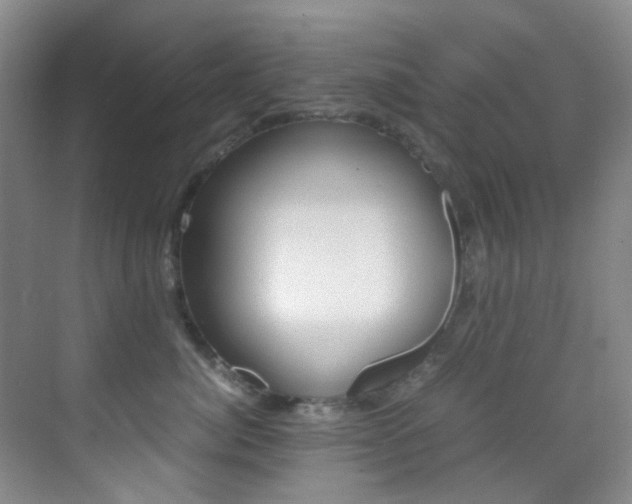 X0000070250764200606020958