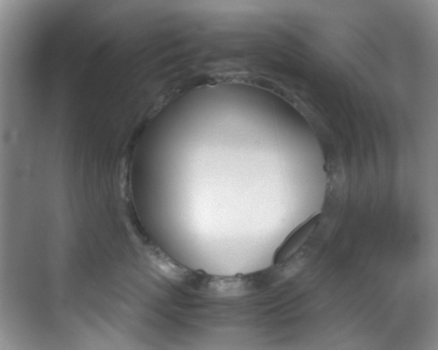 X0000070250767200606020958