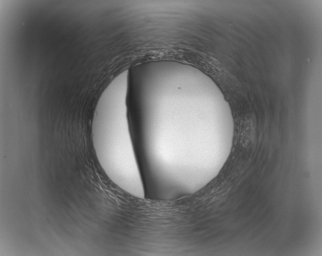 X0000070250770200606020958